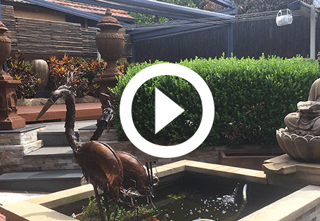Randwick video 