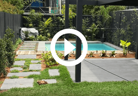Rose Bay video  